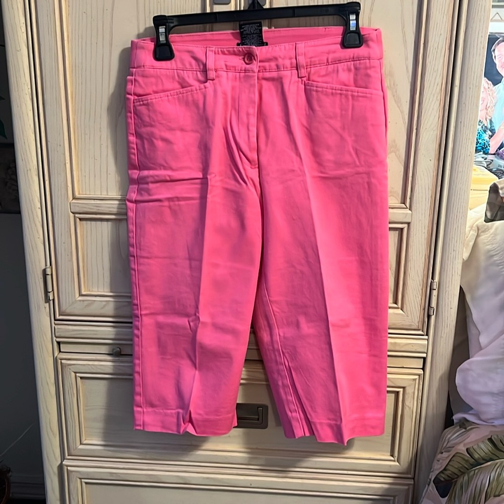 Bay Studios Pink Bermuda Shorts – Size 4P (Petite)